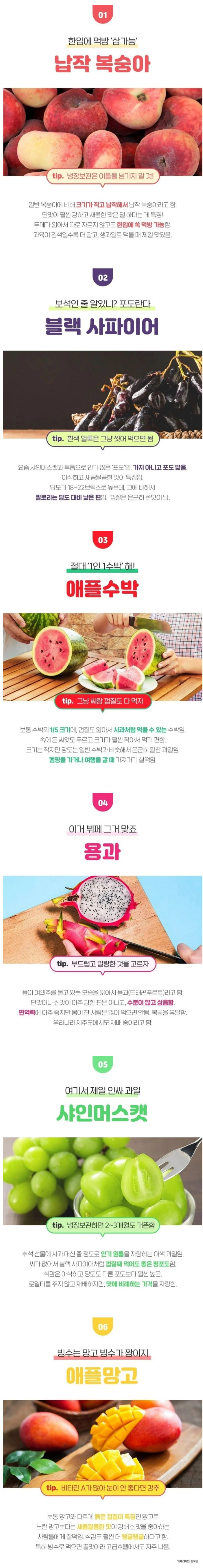 이색 과일 모음 jpg
