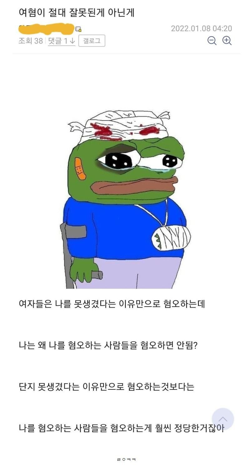 디씨인이 말하는 여혐이 잘못이 아닌 이유