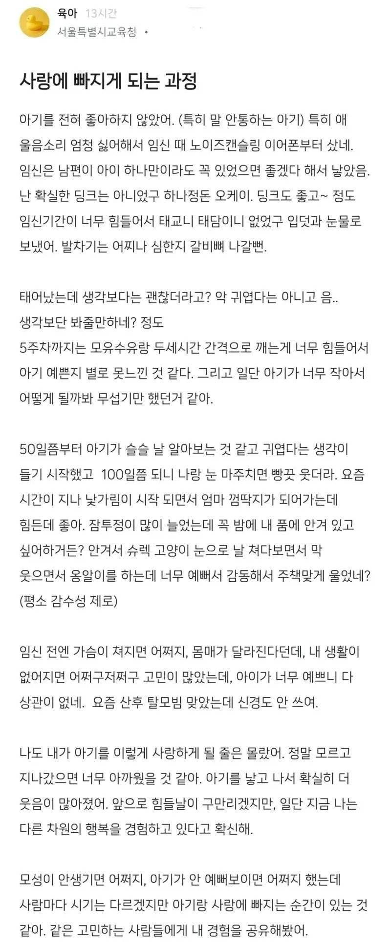 애기 싫어하는 사람이 애를 낳았을 때