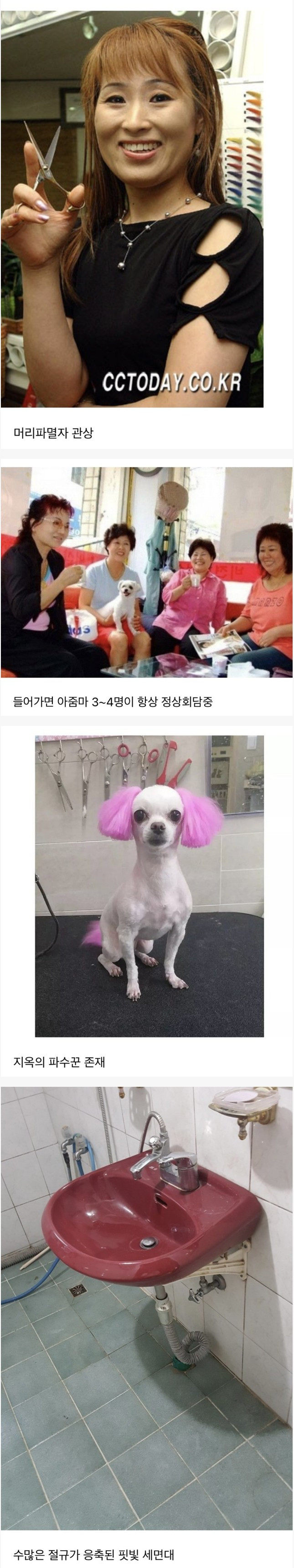 들어가면 ㅈ되는 미용실 특징