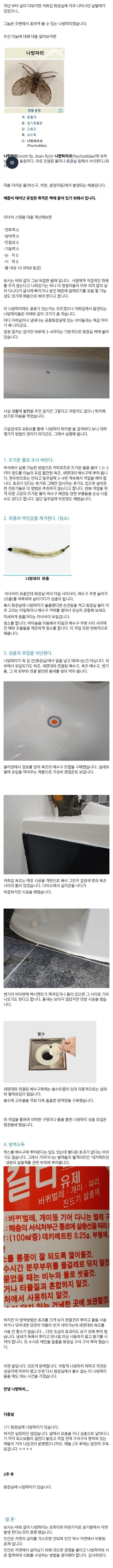 나방파리 없애는 꿀팁