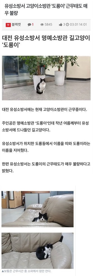 소방관이 근무시간에 소파에서 잠만 잔다