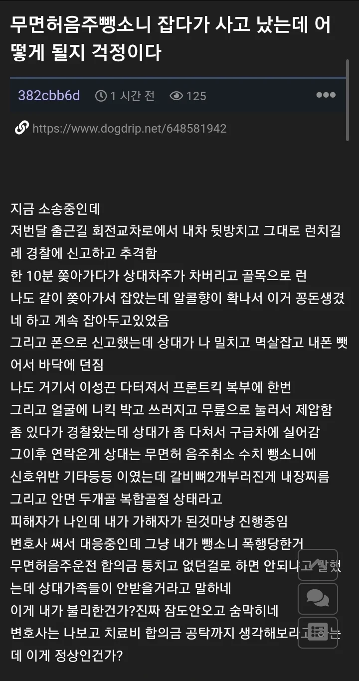 무면허 음주운전뺑소니 제압했는데 깽값물어야되는 사람