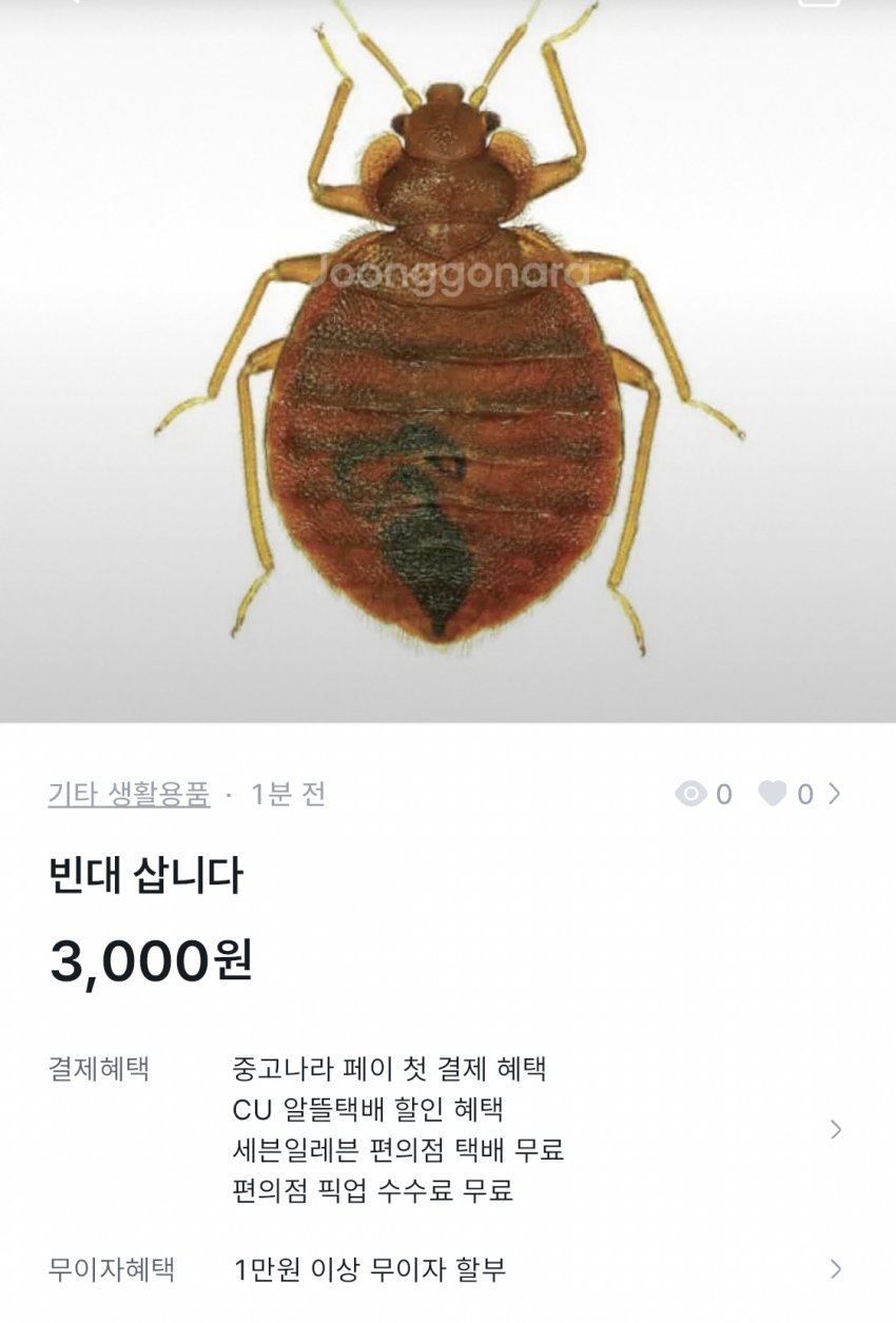 중고나라 빈대 빌런 ㄷㄷ
