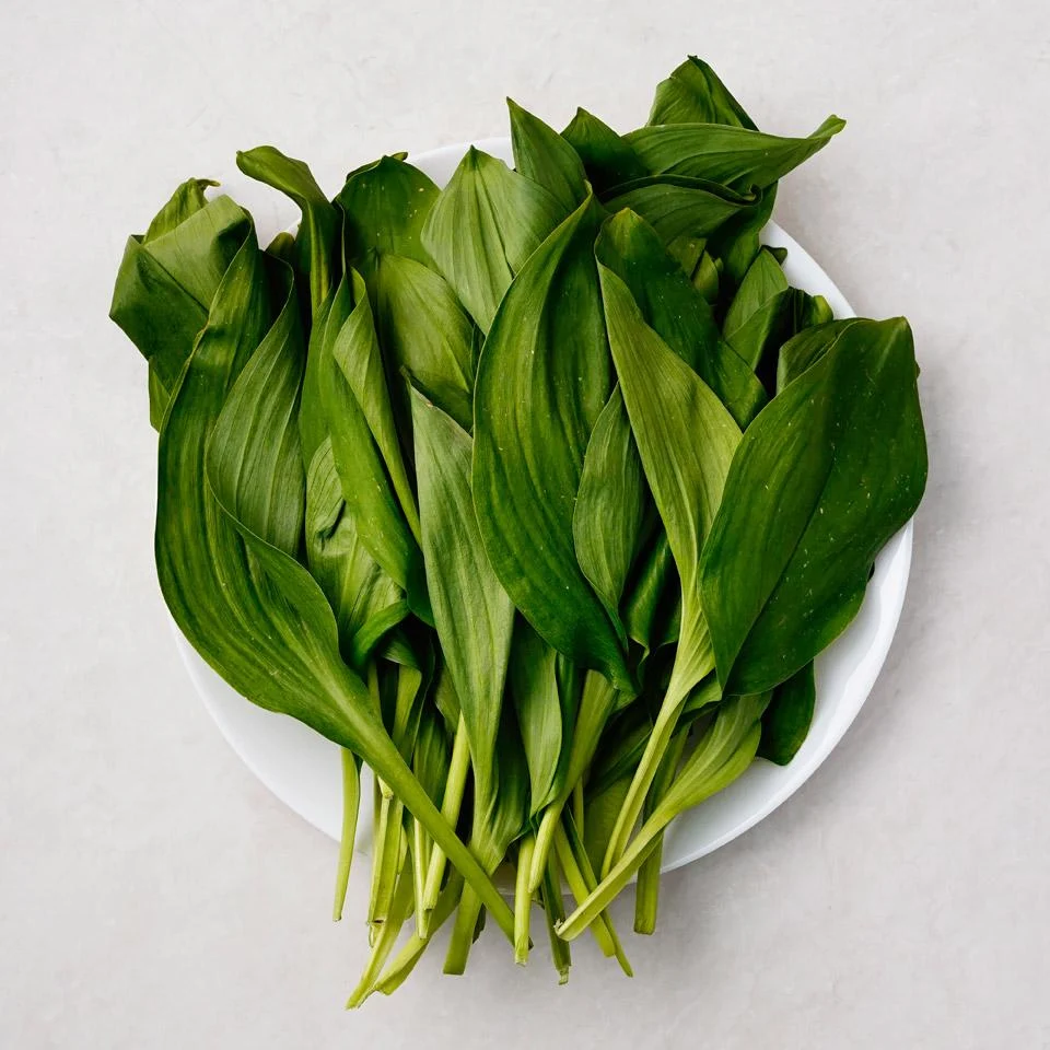 명이나물이 유독 비싼이유