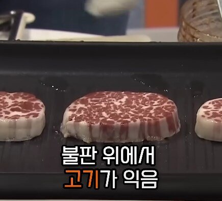 전세계 선진국들이 배양육 실험에 열을 올리는 이유 