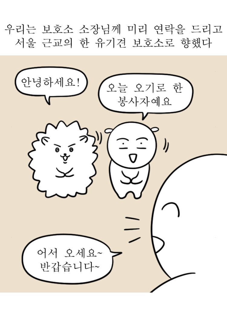 유기견 보호소의 주소가 노출되면 안되는 이유