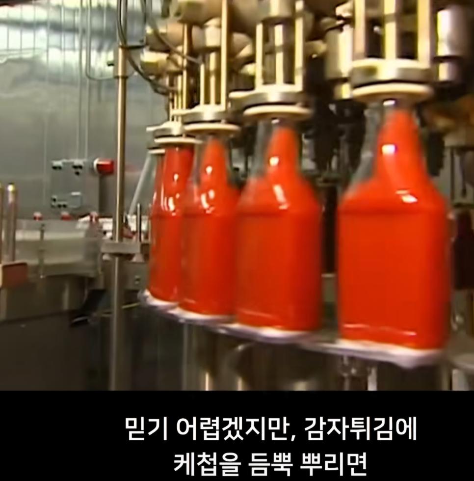 감자튀김에 케첩을 듬뿍 뿌려먹어야 하는 이유.jpg