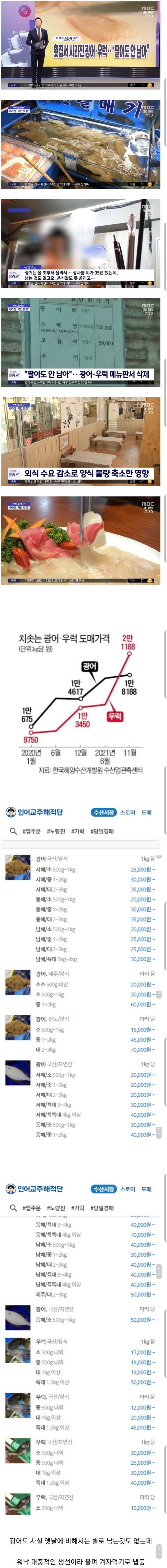 요즘 횟집에서 우럭이 잘 안보이는 이유